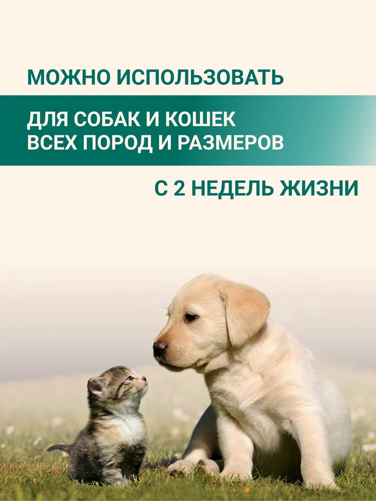 Пенка для мытья лап 13