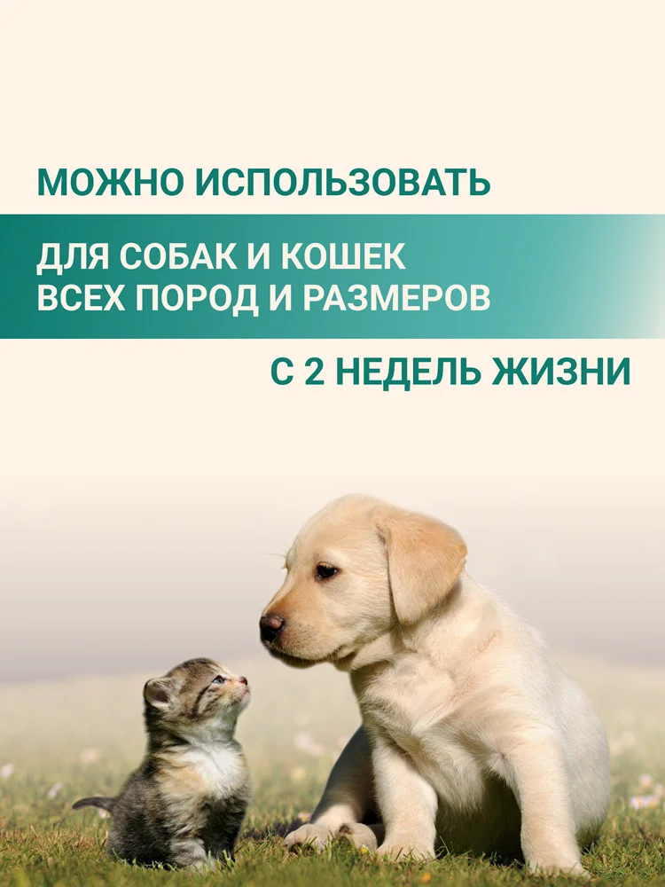 Бальзам-стик для лап 8