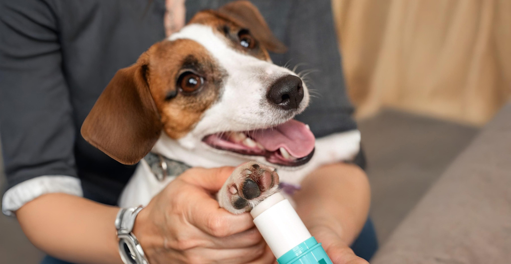 воск для лап с удобным нанесением