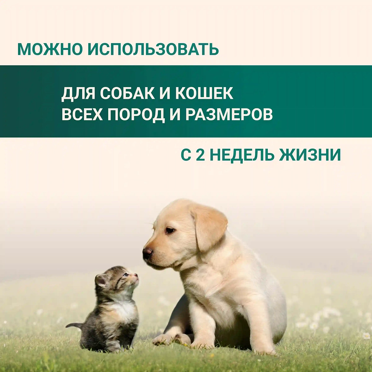 Пенка для мытья лап 11