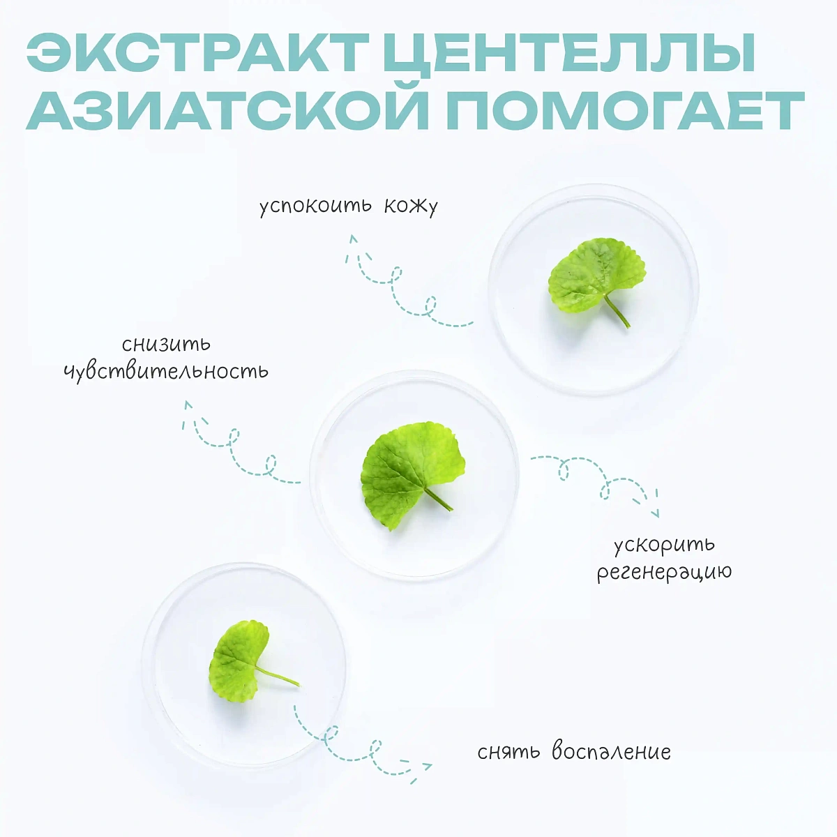 Успокаивающий тоник с  экстрактом центеллы и ламинарии Keep Calm Toner 5
