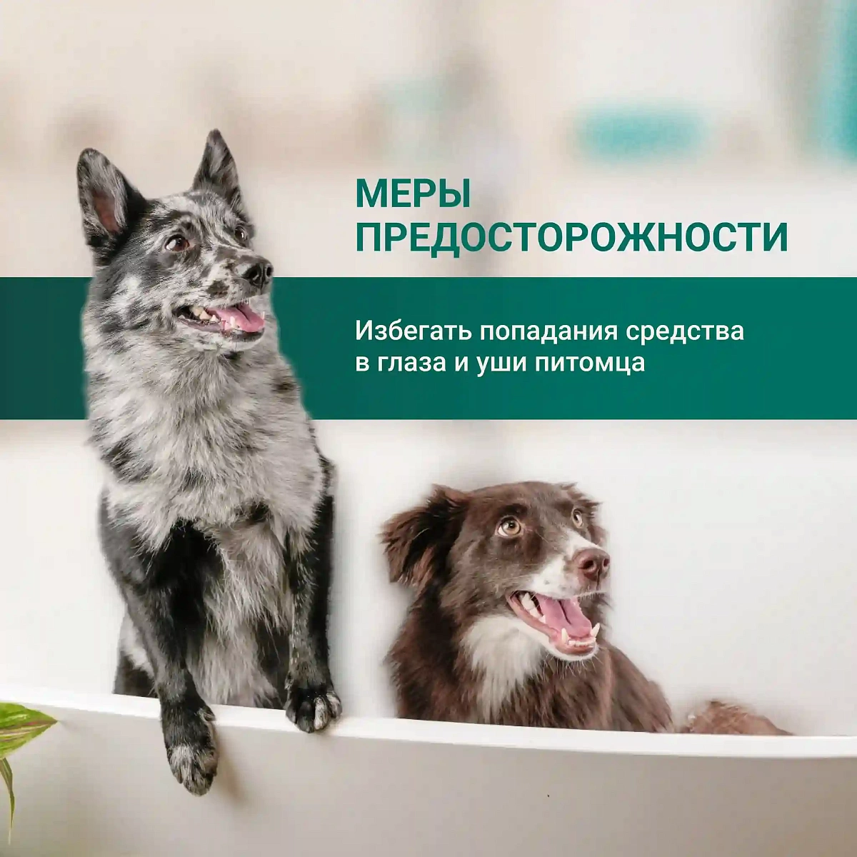 Пенка для мытья лап 9