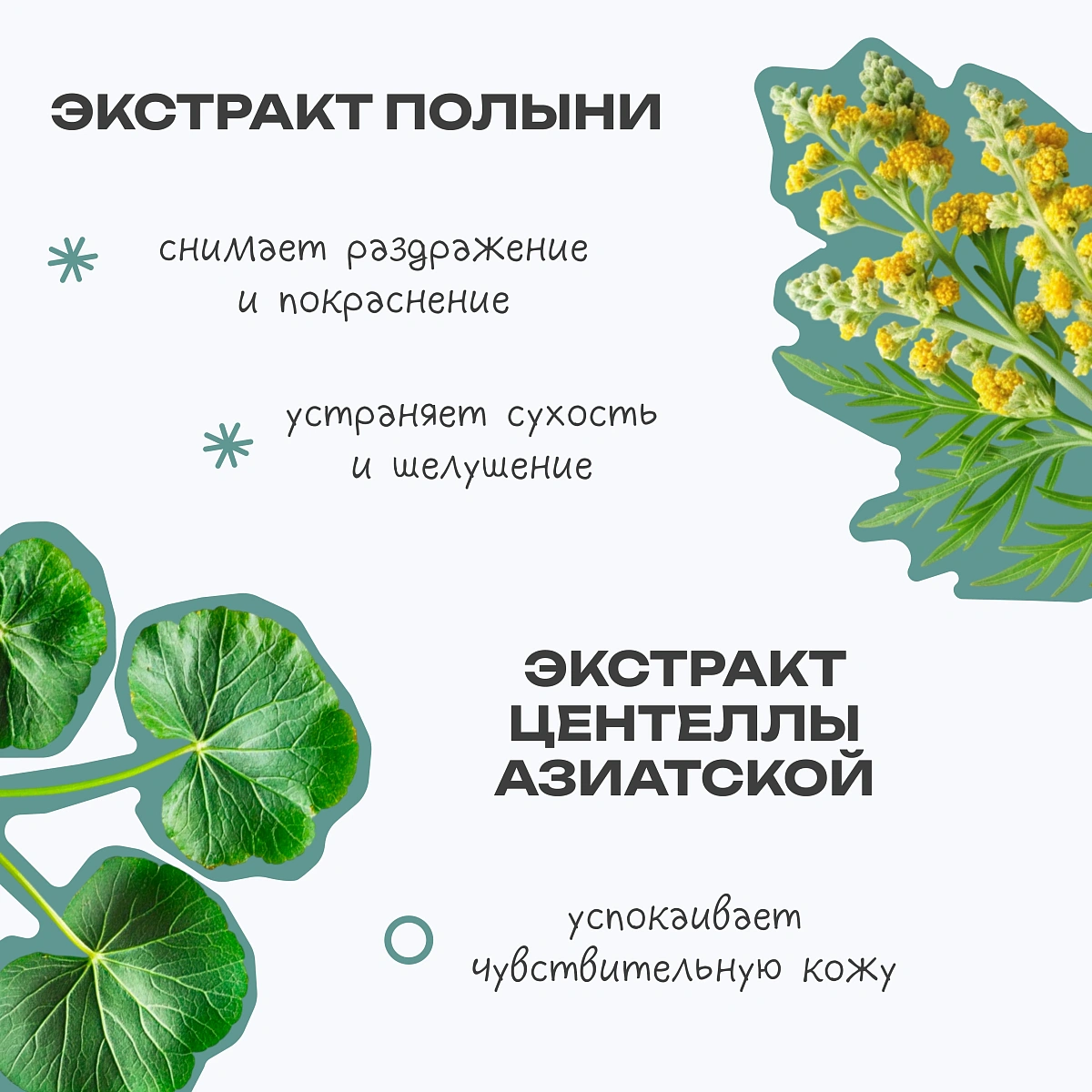 Энзимная пудра Polyn` enzyme powder THE U 6