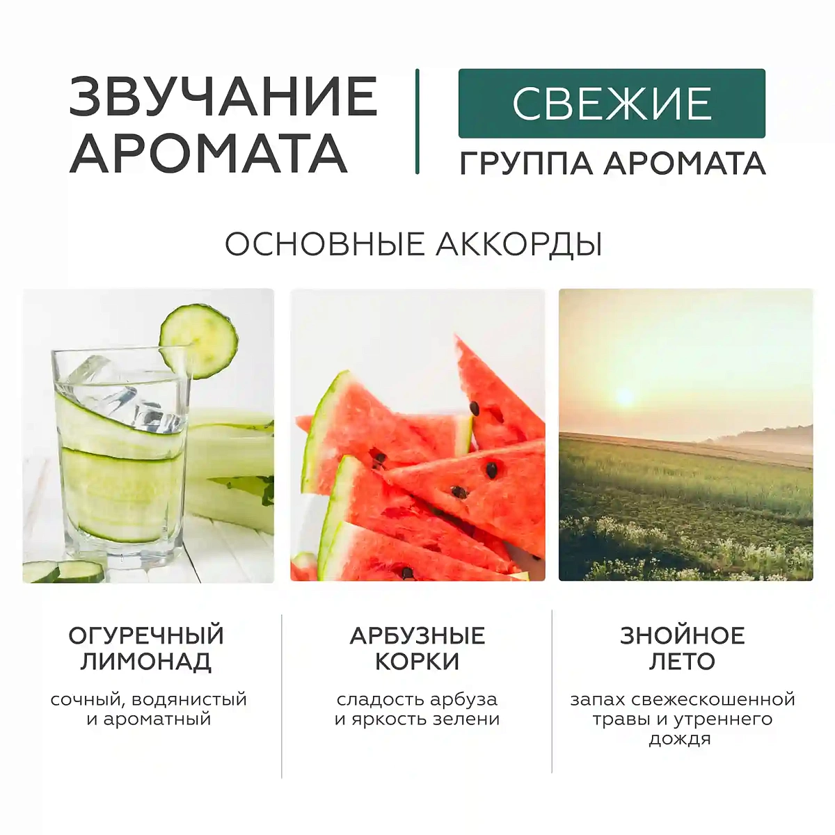 Молочко для тела Cucumber Breeze 4