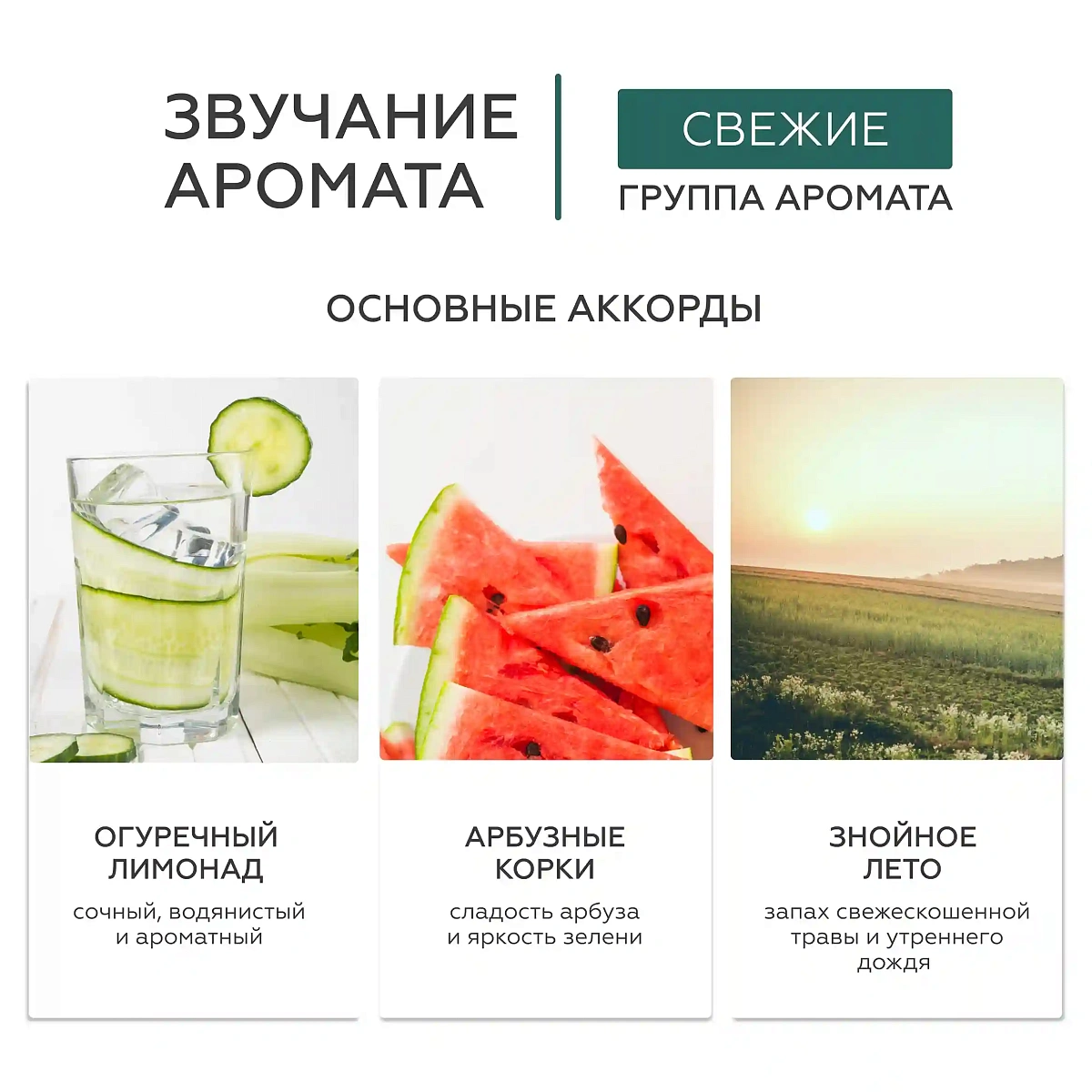Увлажняющий бальзам для губ Cucumber Breeze 5