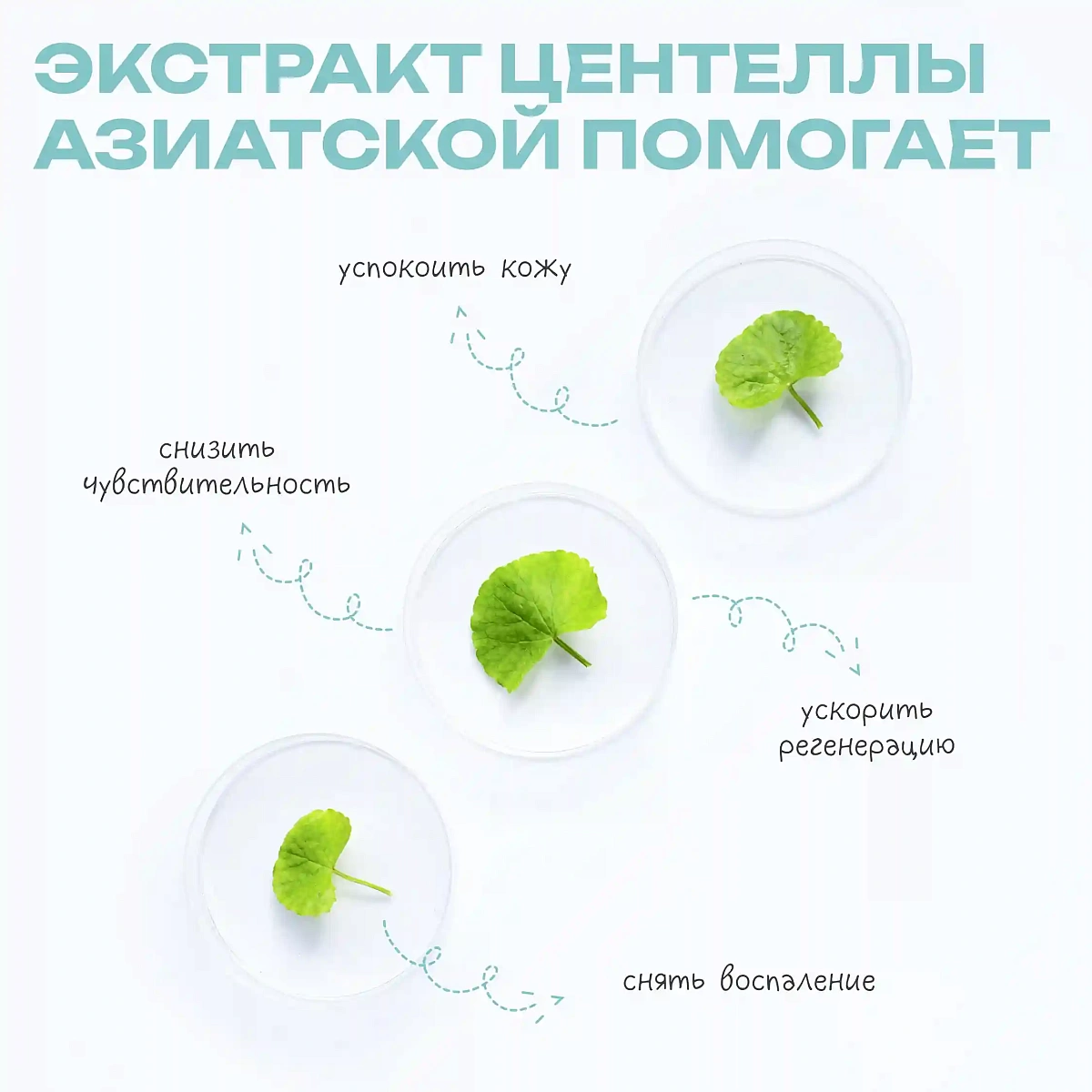 Успокаивающий тоник с  экстрактом центеллы и ламинарии Keep Calm Toner 6