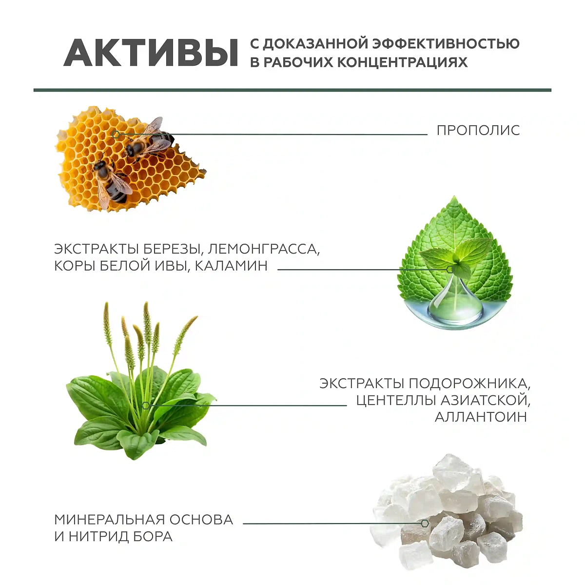 Cеборегулирующая пудра Pure Finish 10