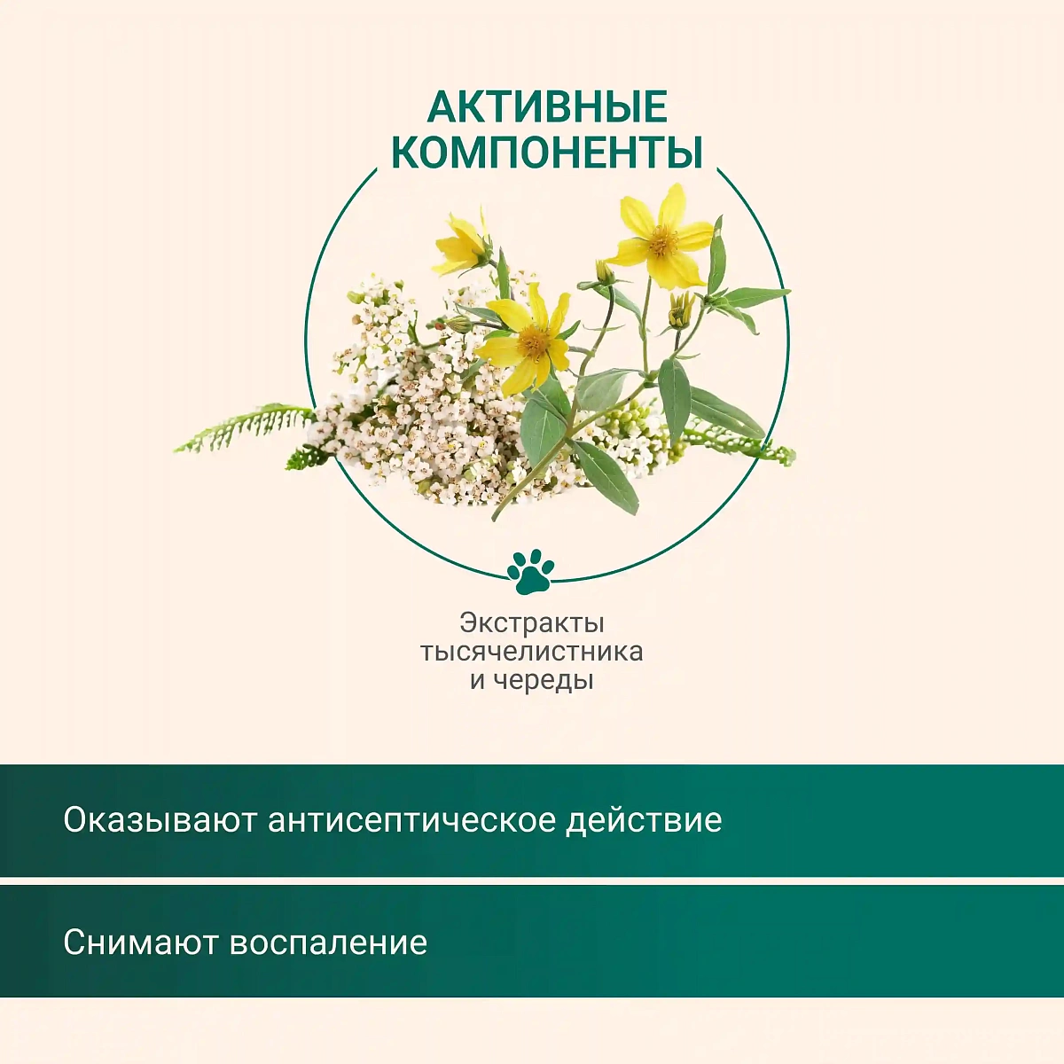 Пенка для мытья лап 6