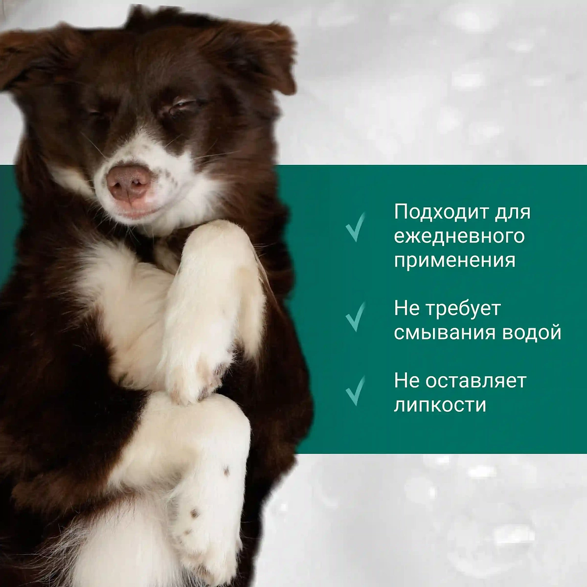 Пенка для мытья лап 10